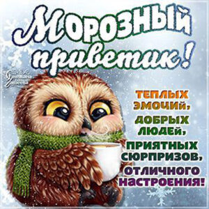 Открытки морозный приветик