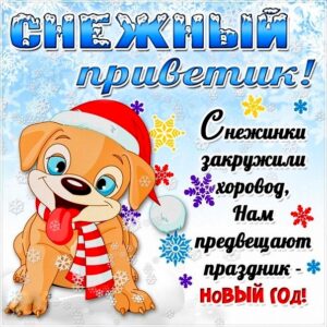 Открытка зимний снежный привет