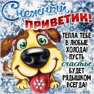 Снежный привет в открытках