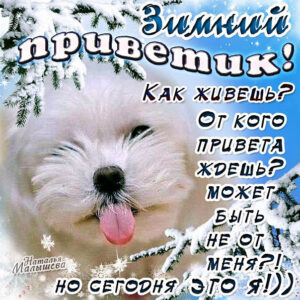 Позитивная открытка зимний привет