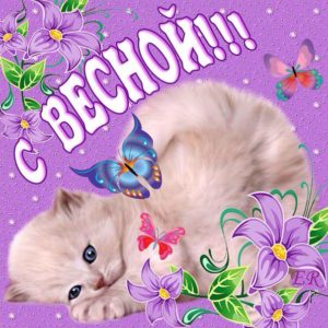 С весной милые симпатичные открытки
