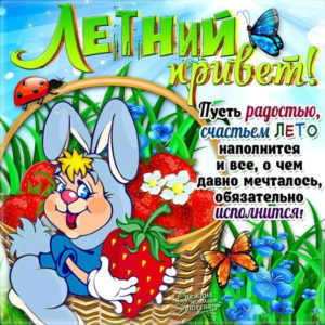 Анимация стихи лето позитив цветы
