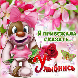 Говорю улыбнись открытка