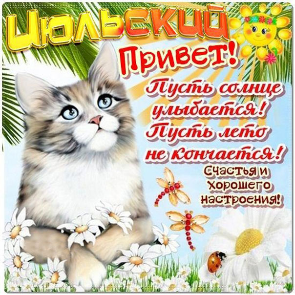 Июльский привет