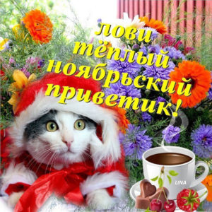 Осень открытки ноябрьский привет