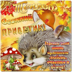 Прелесть открытки теплые пожелания