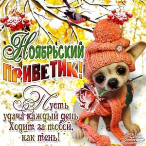 Картинка анимация ноябрьский привет