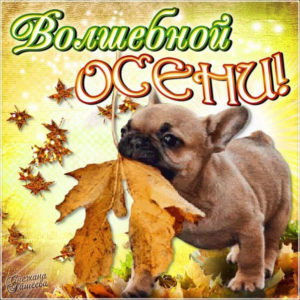 Рисунки картинки прикольные осень