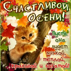 Картинки счастивой осени