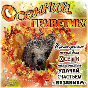 Открытки со словами осенний привет