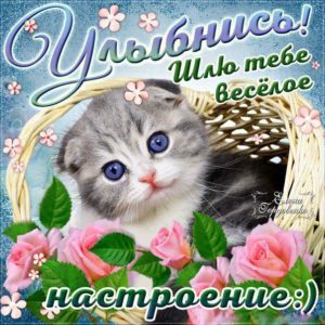 Открытка улыбнись веселое настроение