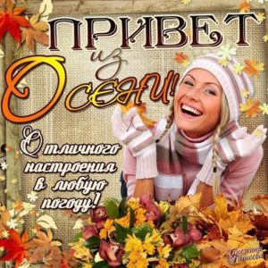 Открытка привет осени