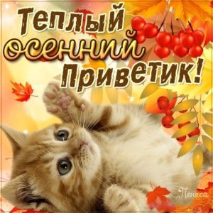 Мигающие с добрым пожеланием осень