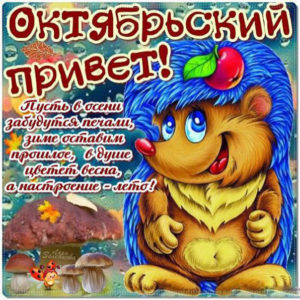 Шикарные открытки ноябрьский привет