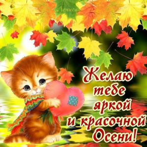 Gif с пожеланиями красочной осени