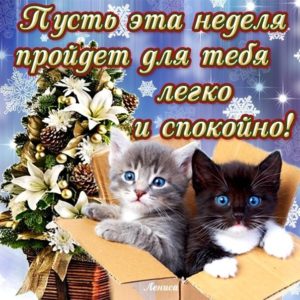 Открытки с началом Новой недели