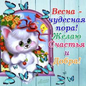 Лучшая открытка желаю счастья