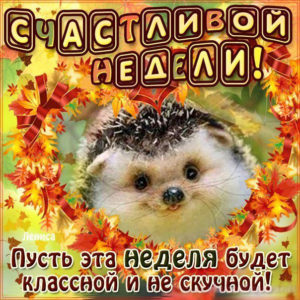 Gif открытки удачной недели