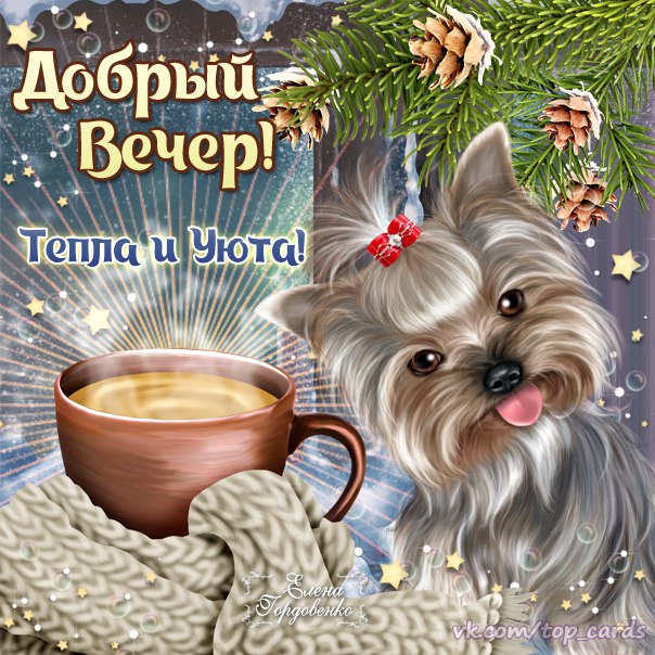 Вечернего тепла и уюта открытка романтика кофе милый песик