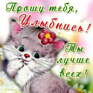 Открытка прошу улыбнись