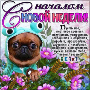 Картинки с началом трудовой недели