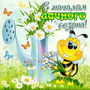 Позитивные открытки дачный сезон