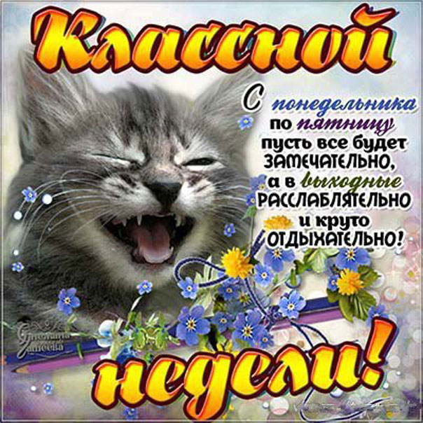 Классной недели тебе