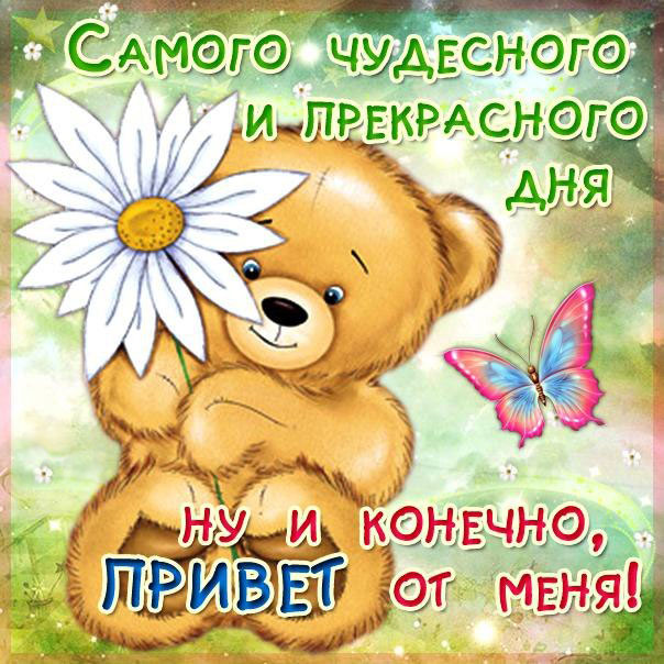 привет от меня