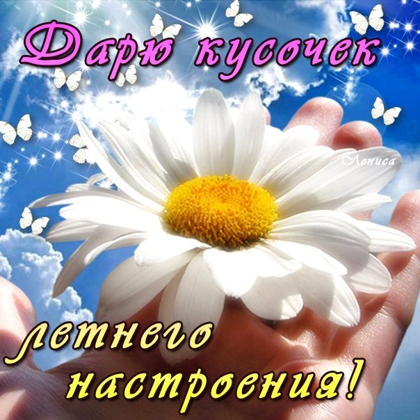 Летнее пожелание