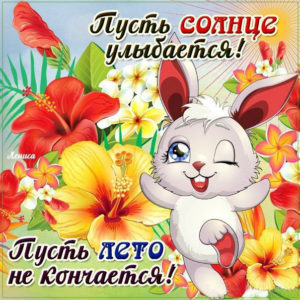 Положительные открытки с фразами лето