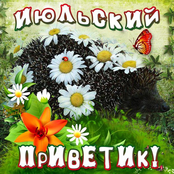 Июльский приветик