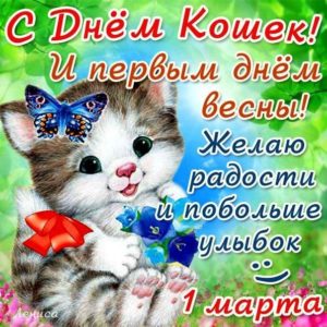 Картинки день кошек день весны
