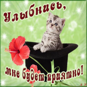 Анимация позитив улыбнись