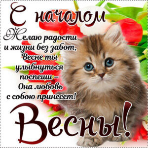 Шикарные открытки с началом весны