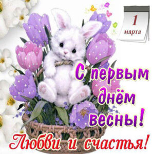 С первым днем весны гифы