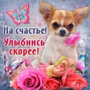 Гиф улыбнись скорее
