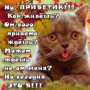 Ну, приветик