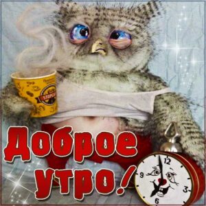 Позитив утренний сова открытки