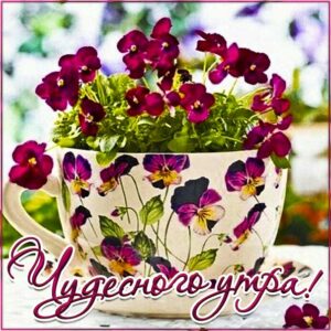 Чудесного утра картинки