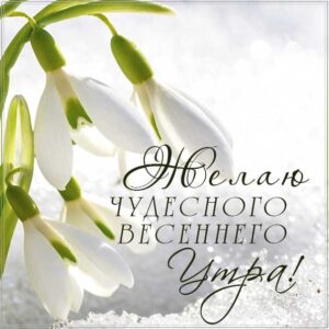 Чудесного весеннего утра