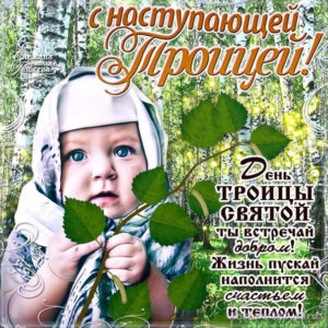 Открытки троица бесплатно
