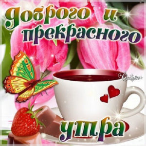 Приятные открытки на утро чай цветы
