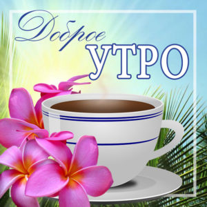 Доброе утро чай открытка мимоза
