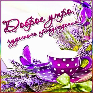 Желаю доброго и самого чудесного утра гиф