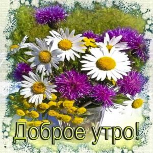 Доброе утро ромашки картинка