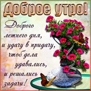 Доброе летнее утро картинка