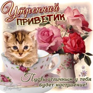 Привет утренний анимация