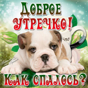 С добрым утром как спалось