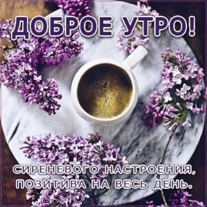 Доброе утро сиреневое настроение