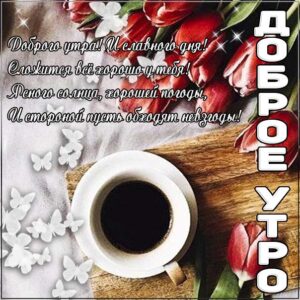Доброе утро ясного солнца картинки